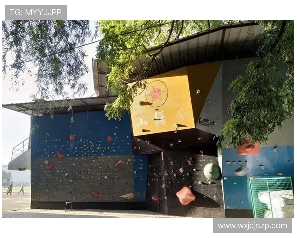 深入分析西安攀岩队防反战术的技巧与应用