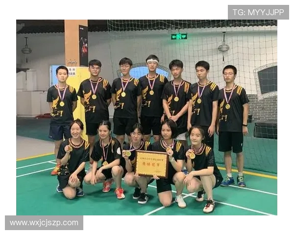 西安羽毛球队与南京羽毛球队耐力较量赛后分析与总结