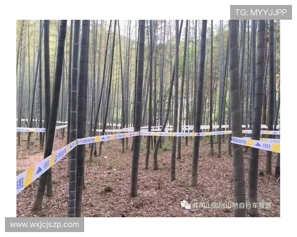 冈山与山形对决前瞻分析及赛果预测探讨