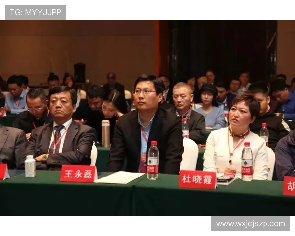 大连与石家庄比赛全场数据分析及精彩瞬间回顾